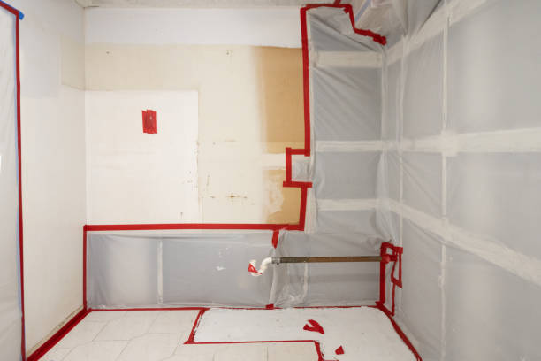 Best Industrial Mold Remediation  in Pleasant Grove, UT