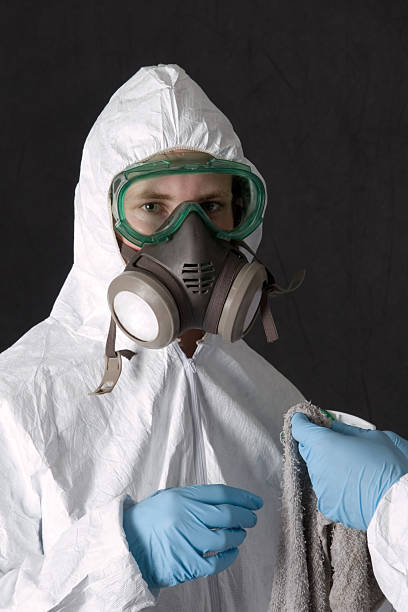 Best Black Mold Removal  in Pleasant Grove, UT